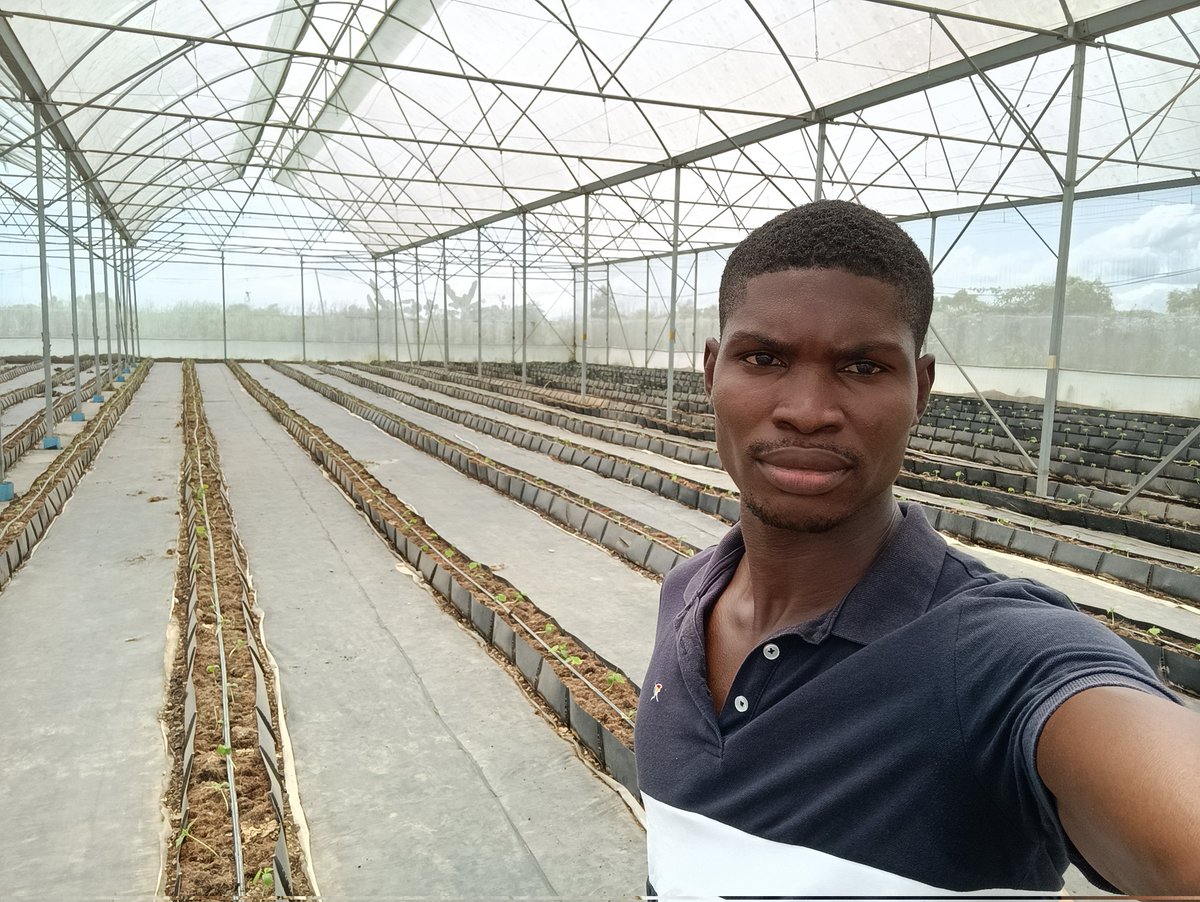DefarmerAlex's tweet photo. Why Greenhouse?

1.Control over growing conditions
2. Protection from pests, high radiation, diseases, rainfall and wind.
3. Extended growing season and all year round production.
4. Efficient use of water and fertilizer. 
5.Etc.

I will make a Comprehensive thread on this. https://t.co/fsIi2OTjYK