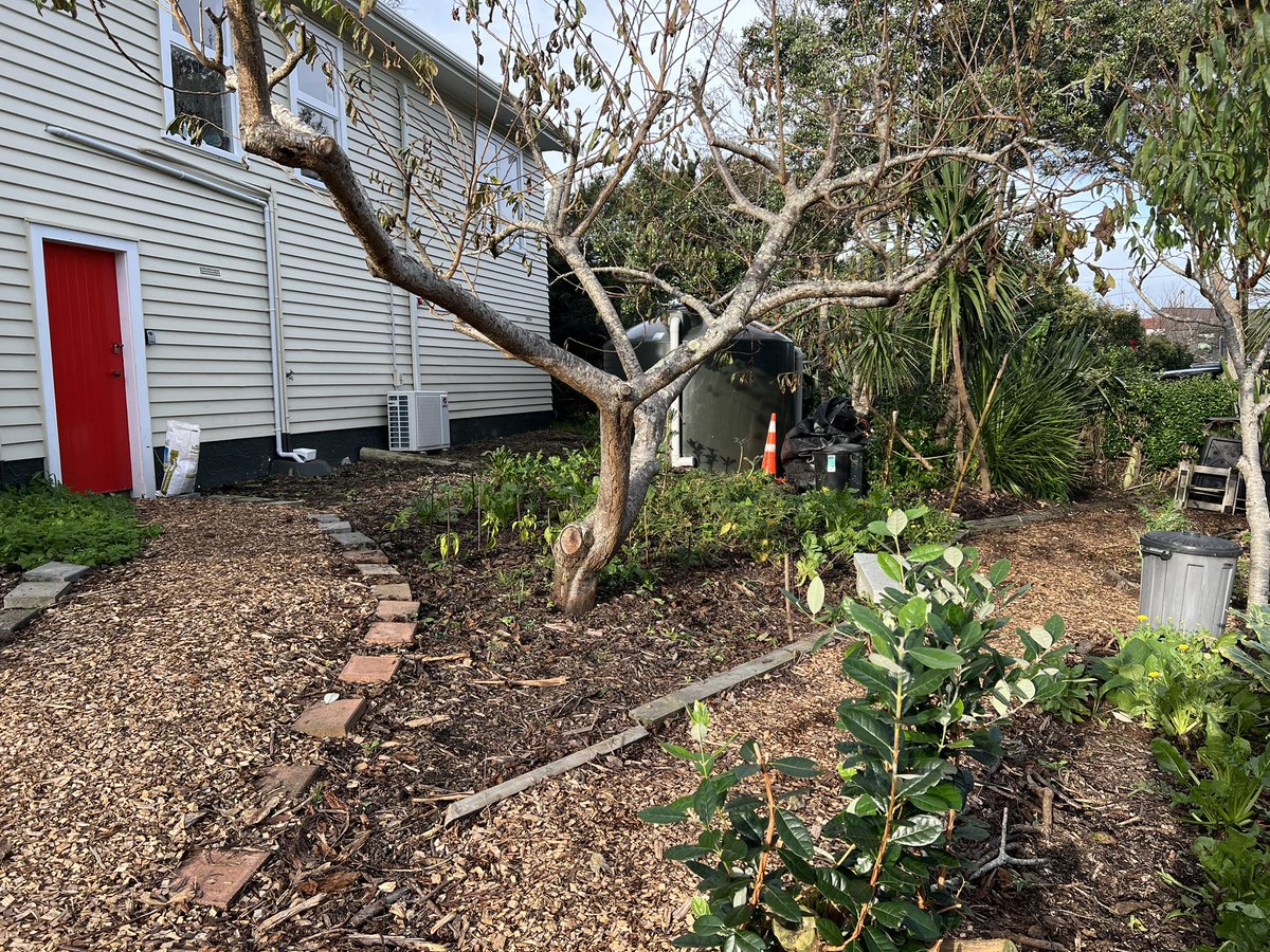 K9lee's tweet photo. Surfdale food forest lessening the effect of rising food cost.
#communitygardens
#risingfoodcosts https://t.co/50Yo2DE7Mj