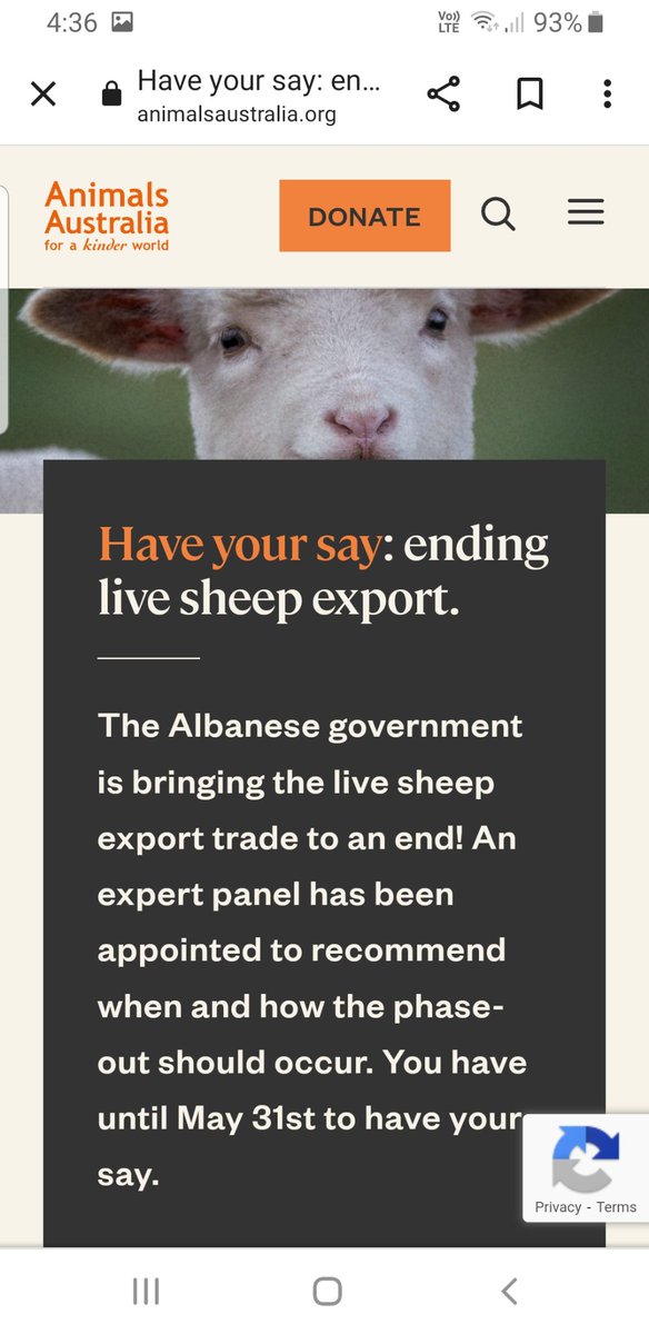 The Albanese govt. has committed to phasing out the live export of sheep by sea. Submissions are now invited from members of the public to help determine how and when the phase out will occur. Full details on #AnimalsAustralia website.
#LiveExports