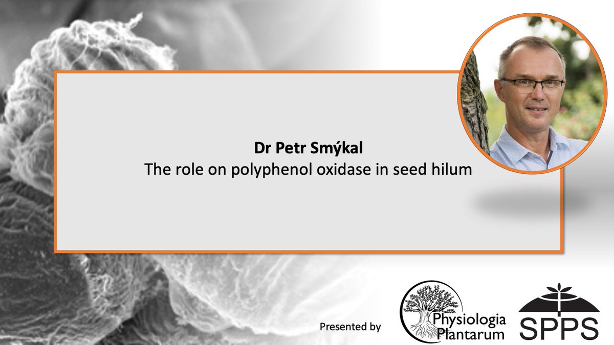 Physiologia Plantarum tweet media