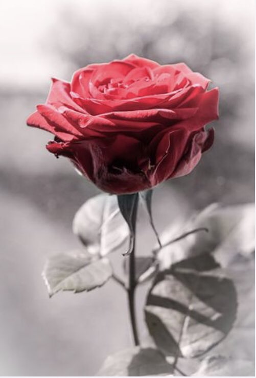 UllaMaijaMaatta's tweet image. Thank you for giving your support. I'm UP NOW open.spotify.com/album/2j1e4a9N…
#Jayecane #upnow #Spotify #Superfamily @Jayecane 🎶🌹