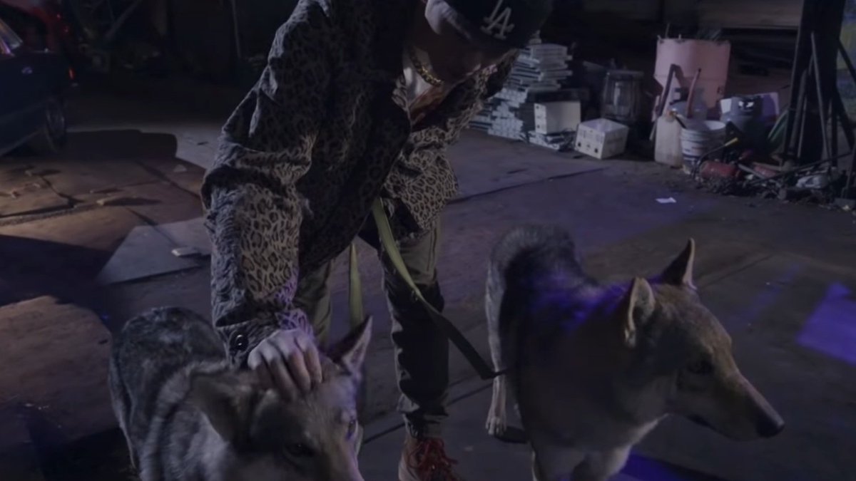 anythingforlmk's tweet photo. Mark with the dogs 

🥹💗 https://t.co/ZxOqbU3D80