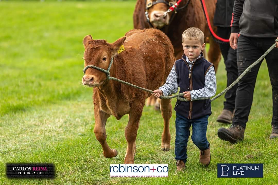 Ethan kelly tweet media