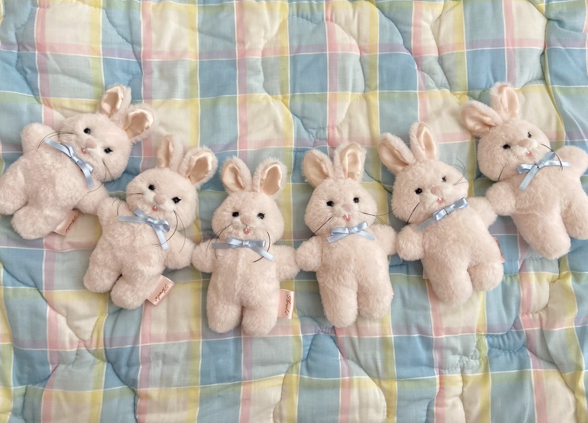 𝘈𝘬𝘪 . 𝘗𝘩𝘳𝘢𝘶𝘭𝘢* (@aki_phraula) / Posts / X