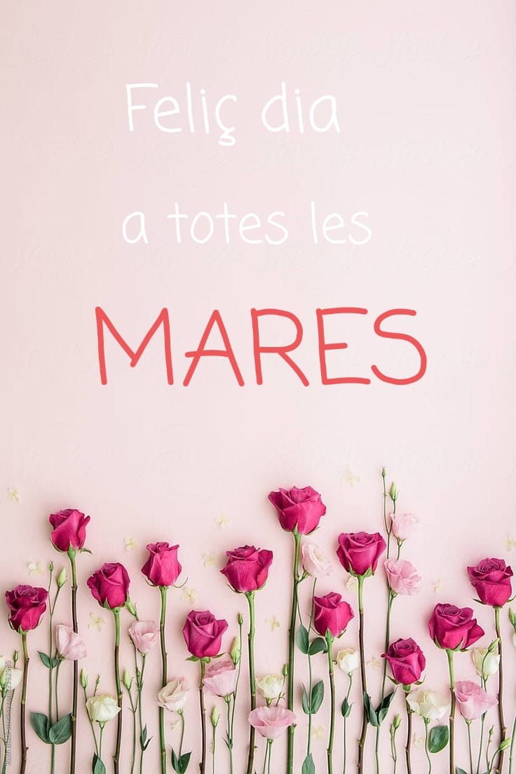 APVMasGener (@apvmas) on Twitter photo 