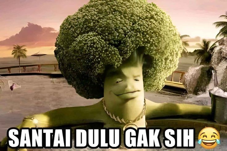 pakgurualken's tweet photo. H-1 SNBT ngapain???

#PGATips https://t.co/WnBWFAfcD7