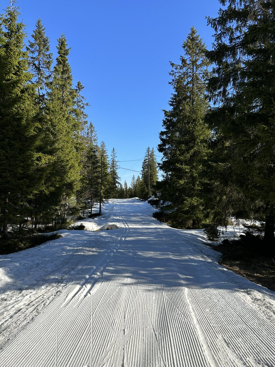 Skjennungstua tweet media