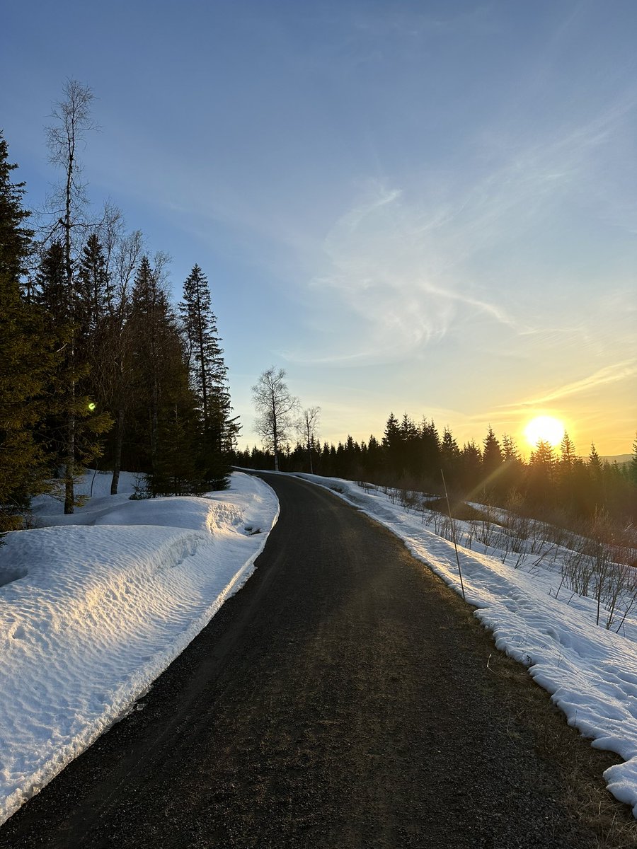 Skjennungstua tweet media