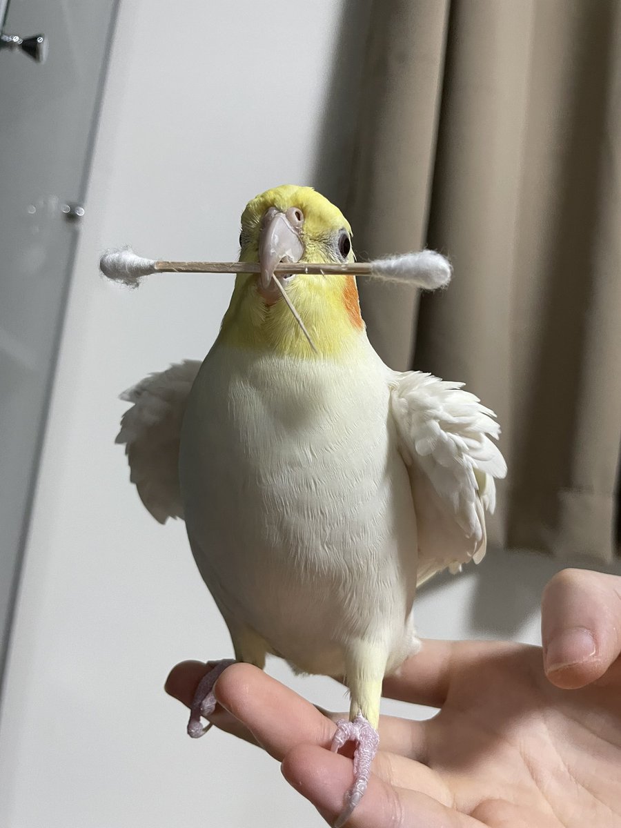 정말 당당하시네요