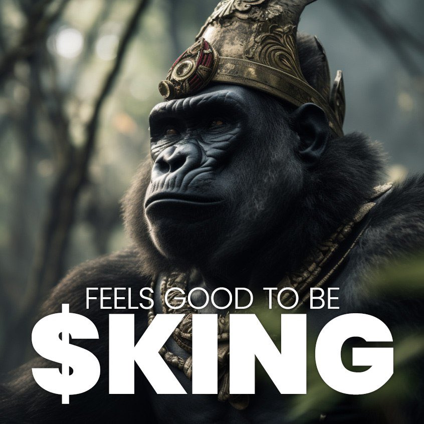 sochimx's tweet photo. @kucoincom Not a memecoin but we didn’t leave the memes out @kingfinance 
If you love utility but want the fun of associating with memes they’ve got it all in their $King ecosystem. Watch this space and DYoR https://t.co/jKYIIO5DiL