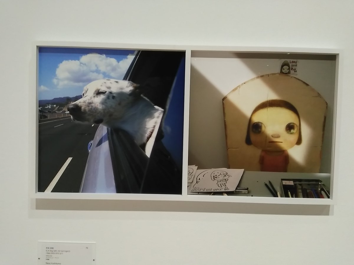 雨がヒドイので、隣の写真美術館へ
撮影ＯＫだった。
スゴイいい時間 https://t.co/dNWR0WY5BW