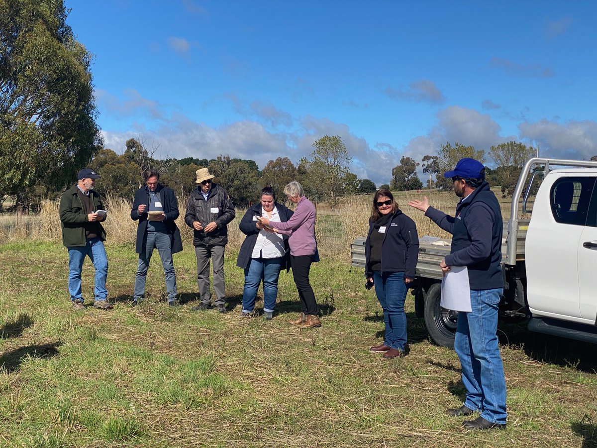 SAI Platform Australia tweet media