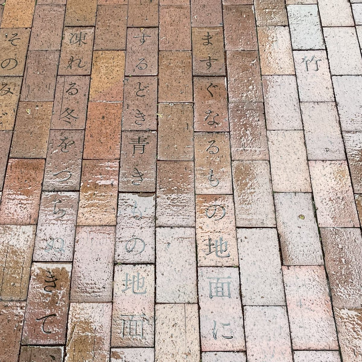 arukurico's tweet image. 雨の音の向こうからきこえるにぎわいをたのしみながら川沿いをお散歩

#世界が魔女の森になるまで
#前橋文学館 
#lecocon #ガレット