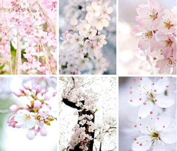 ЛАРИСА РУСАКОВА tweet media