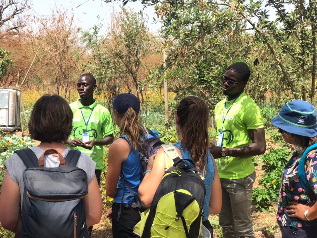 Journée porte ouverte du programme Food for Life. Nous avons apprécié la visite de l’équipe de @MercyShips et de tous ceux qui ont assisté à la cérémonie.

#LahineNdao #natanguefarm #foodforlife #MercyShips #agroecologie #GlobalMercy #organicfarming #Kaffrine #sdgs2030 #SDG #farm