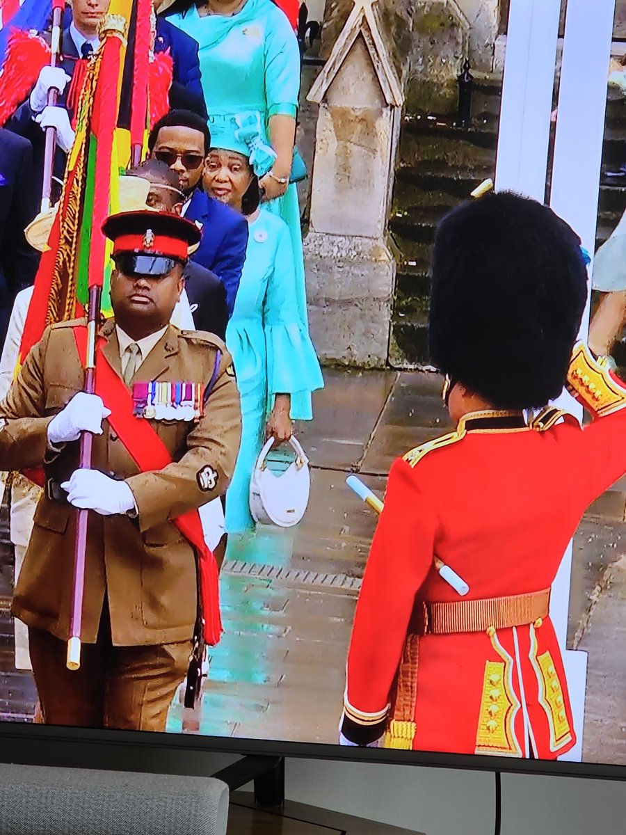 A very large touch of class and respect. A Liutenant Colonel, saluting WO2 Johnson Beharry VC.  Very impressive #army #class #respect #victoriacross