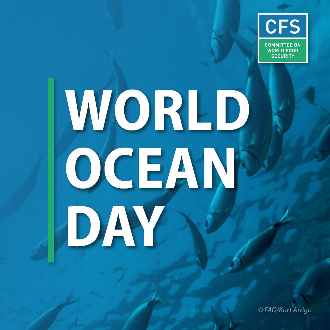 World Ocean Day