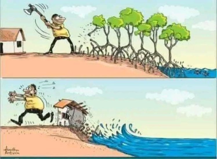 Greenpeaceafric's tweet image. ❌ Deforestation as a result of the oil industry's greed
✔️ Renewable energy and living in harmony with nature

If you agree - add your voice here 👉 act.gp/3AVCSdR