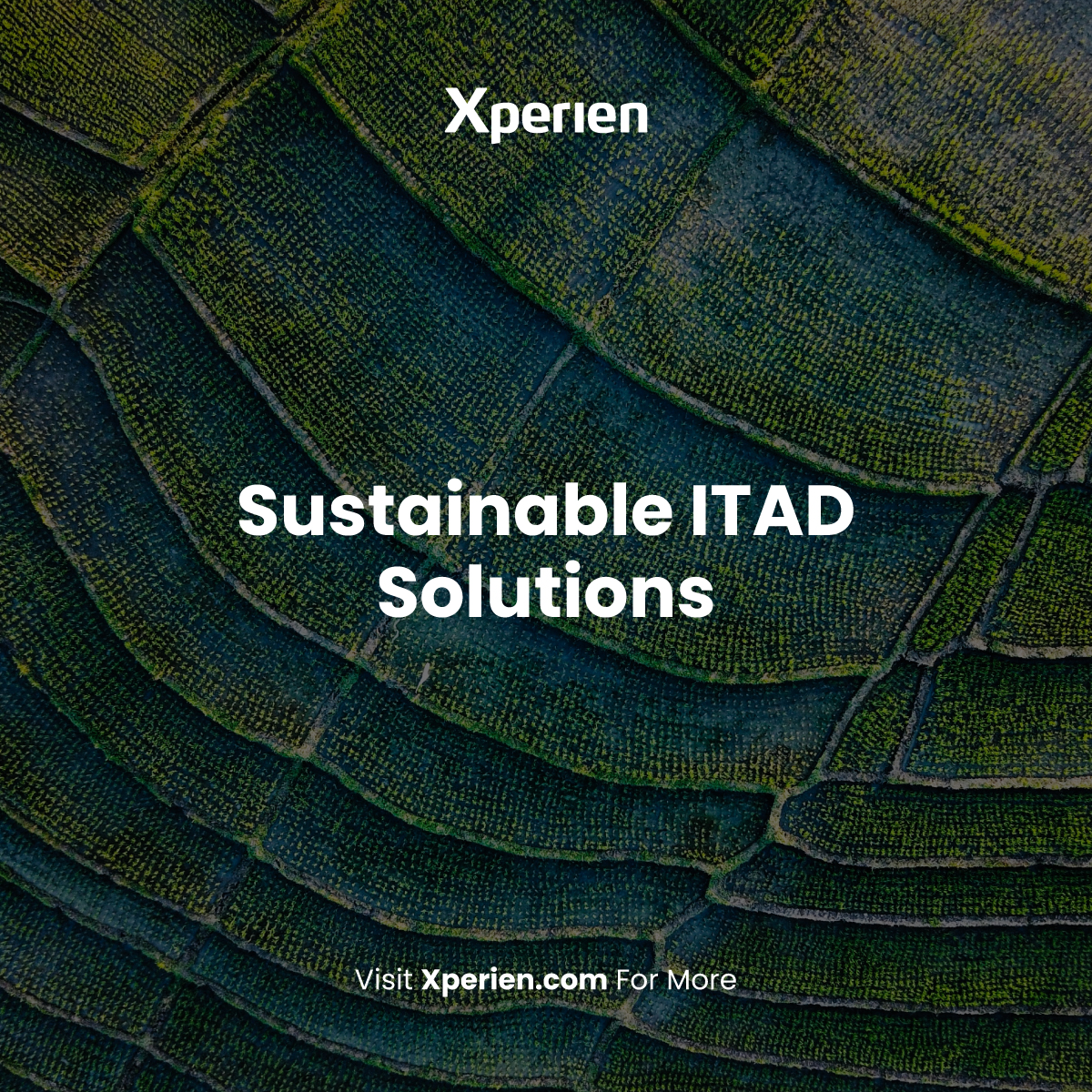 Xperien's tweet photo. Improper ITAD can harm ecosystems, privacy, and lead to data breaches

Xperien offers sustainable ITAD solutions through proper disposal, recycling, and secure data destruction to mitigate negative impacts 🌍️♻️♥️

#SustainableITAD #DataSecurity #EcoFriendly https://t.co/HcWyxBleYl