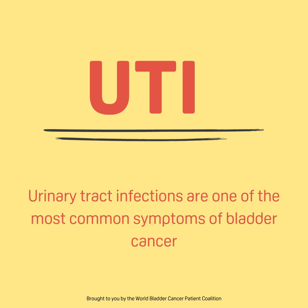 World Bladder Cancer Patient Coalition on Twitter "BladderCancer is