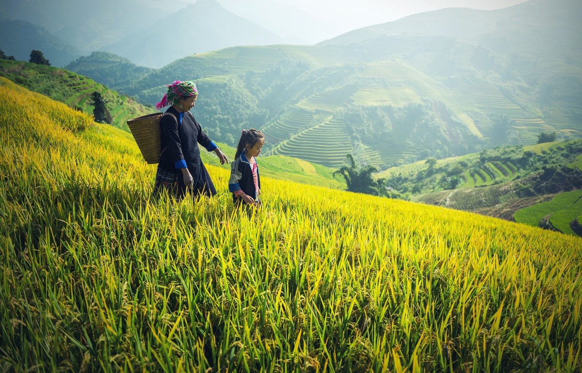 vietnamtravel20's tweet photo. Tailor-made tours to Vietnam to explore some of our fifty-three ethnic minority communities.
For the best deal and quick reservations, contact us>>https://t.co/pJZjG7xoan
#Hanoicity_tours #vietnam_tour #hue_tour #cambodia_tour #laos_tour #honeymoon #adventure_tour #ha_long_bay https://t.co/wcDg3HlsTV