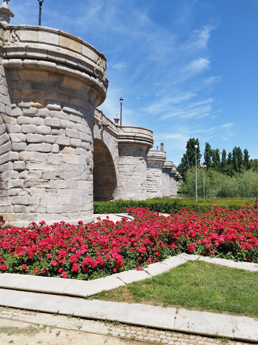Caminando hacia el Puente de Toledo! Madrid es vida!