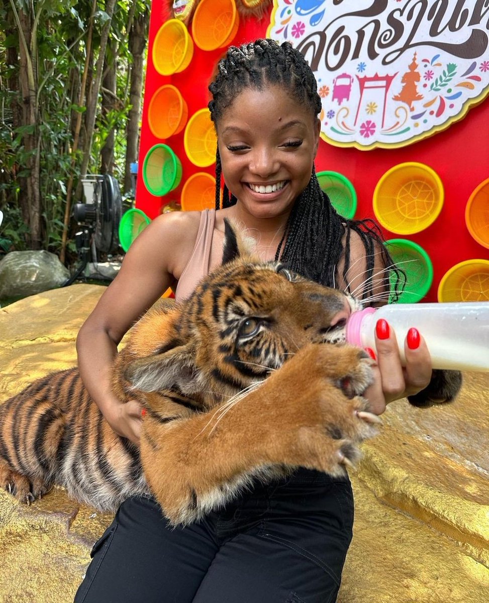 FreeLifeAsso's tweet photo. Non, non et encore non ! @HalleBailey, l'actrice qui incarne Ariel, dans le nouveau film live des studios Disney s'est photographiée lors de ses vacances avec des orangs-outans, tigres et éléphants dans les établissements que nous dénonçons en Thaïlande ! #StopTourismeAnimalier https://t.co/vJXpwmPrgU