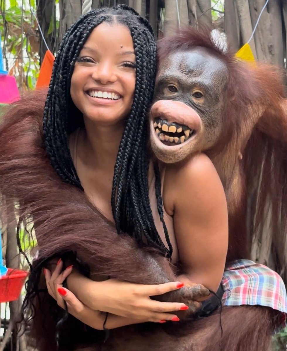 FreeLifeAsso's tweet photo. Non, non et encore non ! @HalleBailey, l'actrice qui incarne Ariel, dans le nouveau film live des studios Disney s'est photographiée lors de ses vacances avec des orangs-outans, tigres et éléphants dans les établissements que nous dénonçons en Thaïlande ! #StopTourismeAnimalier https://t.co/vJXpwmPrgU