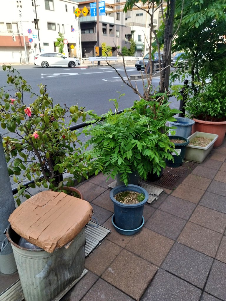 「先日コミティアに行ったついでに少しだけ東京の下町を歩いて、すごく久しぶりに路地園」|古山フウのイラスト