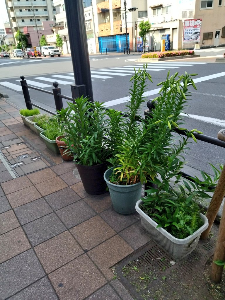 「先日コミティアに行ったついでに少しだけ東京の下町を歩いて、すごく久しぶりに路地園」|古山フウのイラスト