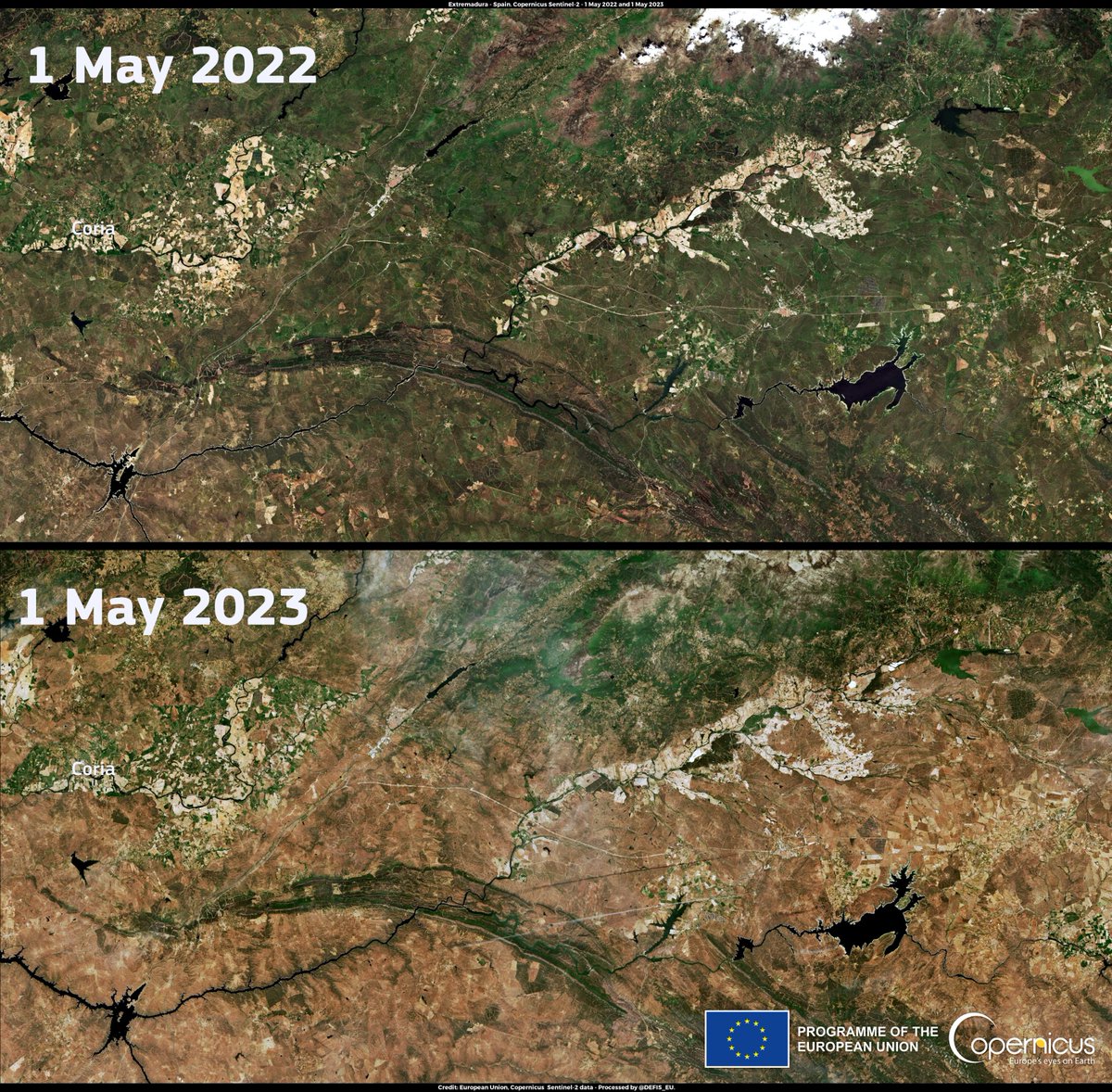 #ImageOfTheDay 

#Copernicus satellites continue to acquire worrisome snapshots of the impacts of the severe #drought ongoing in #Spain 🇪🇸

⬇️#Extremadura has lost its typical green colour, as evidenced when comparing #Sentinel2 🇪🇺🛰️ images from May ↙️ 2022 🟩and ↘️ 2023🟫