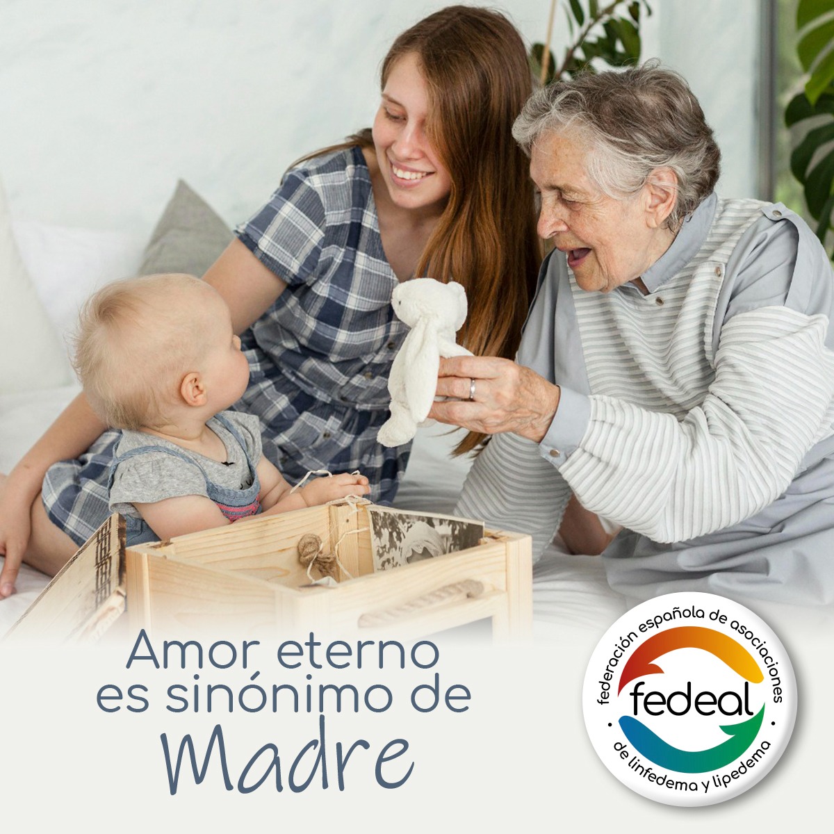 fedeal_org tweet media