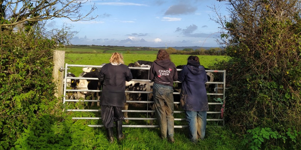 Its been an incredibly busy week with lots of people learning about small-scale farming. The work doesn't stop just because its Sunday! #keepItChaos #Farmlife #NaturePositive