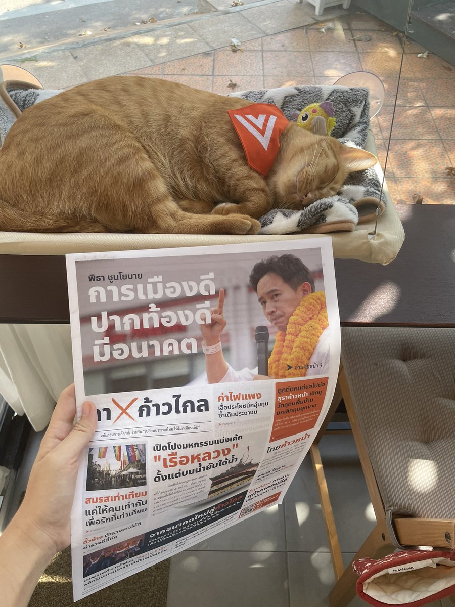 naruematpty's tweet photo. เอาหนังสือพิมพ์มาส่งแมวส้มคร้าบบ #แมวส้ม #ก้าวไกล #กาก้าวไกล #ด้อมส้ม https://t.co/Dha8lx3iq0