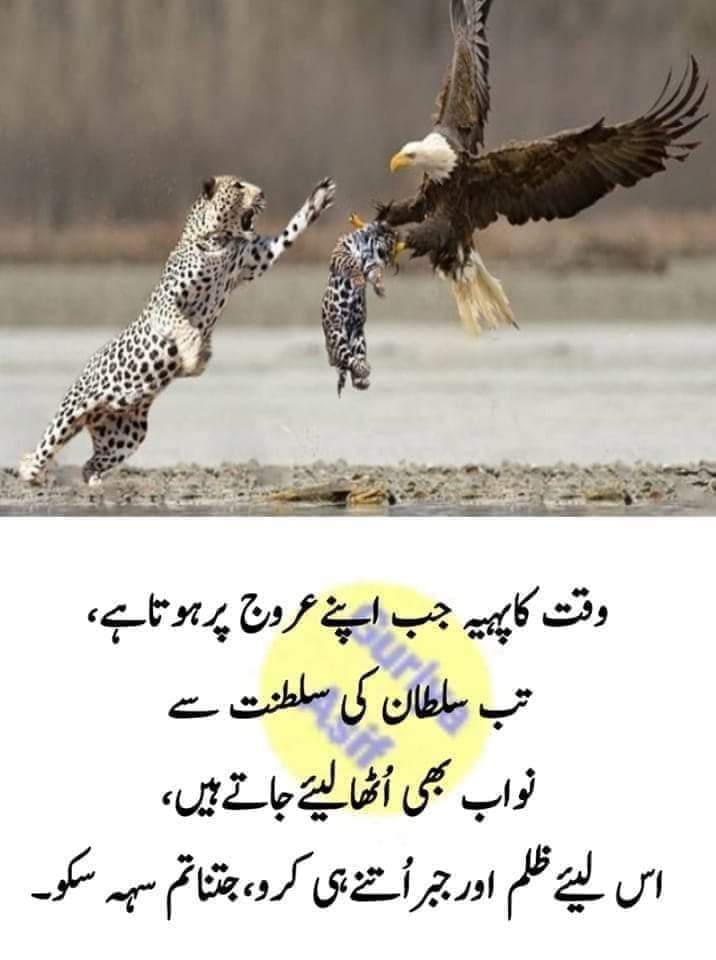 Engr_shakeel361's tweet photo. https://t.co/ezlwqoAgpt