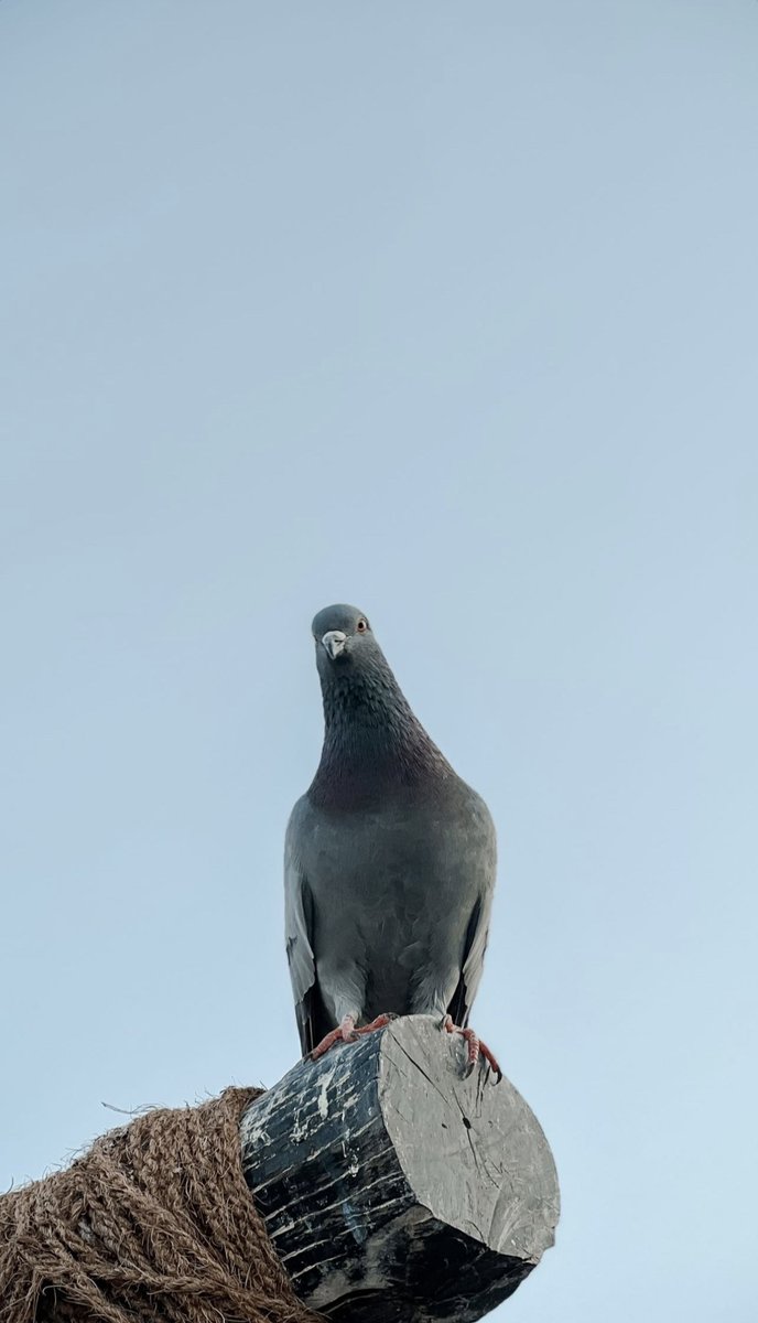 "كلمتك الطيبة لها أثر، اعتذارك له قيمة، تبريرك لأخطائك له معنى، تفهمك لغيرك أدب، التغاضي عن الأخطاء وعي، مراعاة المشاعر نُبل، صون الود ود، اللي تسويه لغيرك بيرجع لك، تعاملك مع الآخرين يؤثر على شخصيتك أكثر من ما يؤثر فيهم، أمور عادية تحدد مين أنت، لاتبخل بالجمال فتصبح خالياً منه."