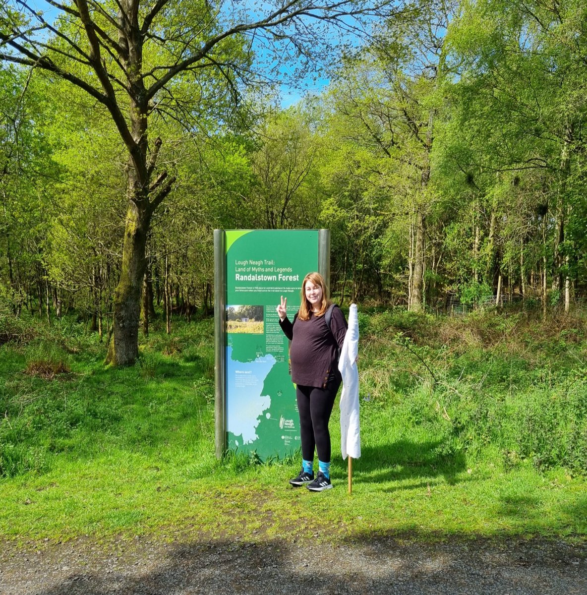 Me and my 32-week bump collecting ticks in Randalstown Forest today as part of the systematic surveillance chapter of my project. 

#Ticks #TickborneDiseases #PhD #NorthernIreland