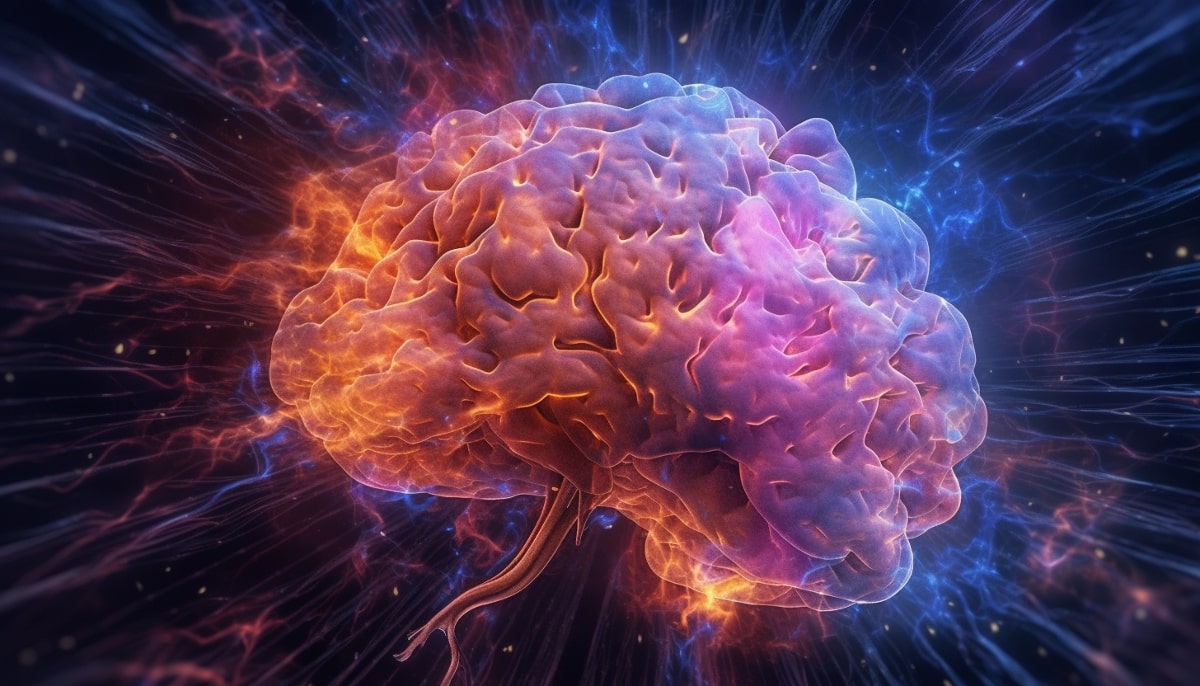 Top 5 Neuroscience Articles of the Week: What You Need to Know

This week's top findings: consciousness in dying brains, nutrition's power against Alzheimer's, AI mimicking human speech processing, high school education's lifelong cognitive impact, and unlocking the human