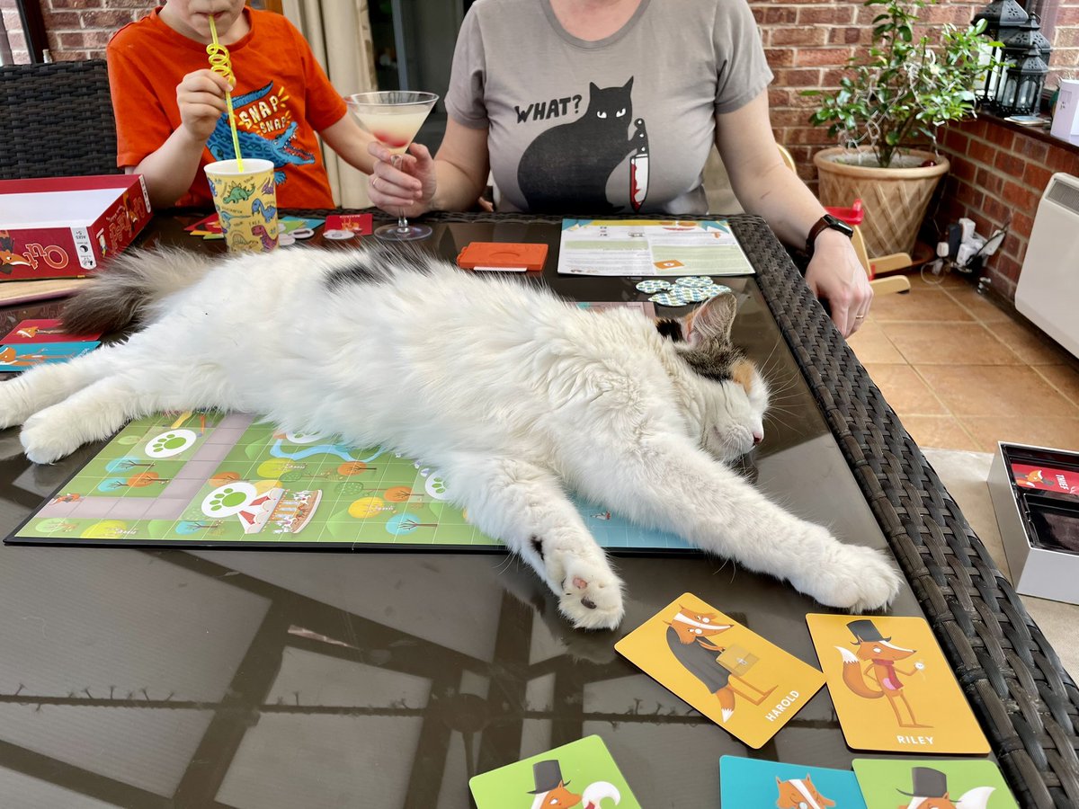 The hominids like playing #boardgames - and so do I! (Also, check out the female hominid’s t-shirt…a gift from my black-cat predecessor) #CatsAreFamily #cats #CatsOfTwitter