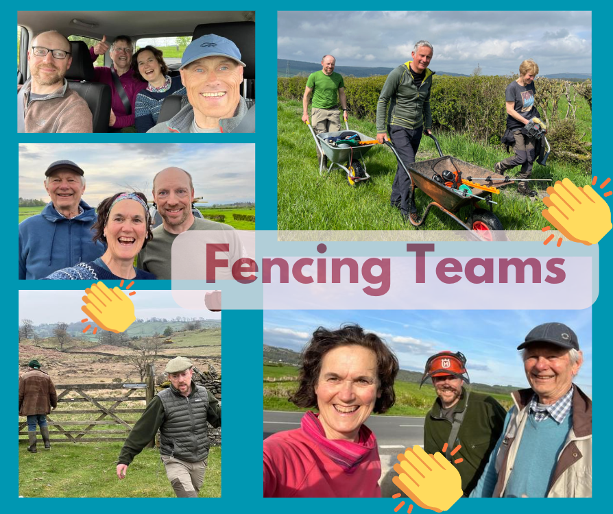 #SundayShoutOut to our nest fencing volunteers. This dedication is a big part of our work to keep these beautiful birds safe and thriving. We couldn't do it without you! 🙏🐦💚  #VolunteerHeroes #CurlewConservation #ProtectTheNests