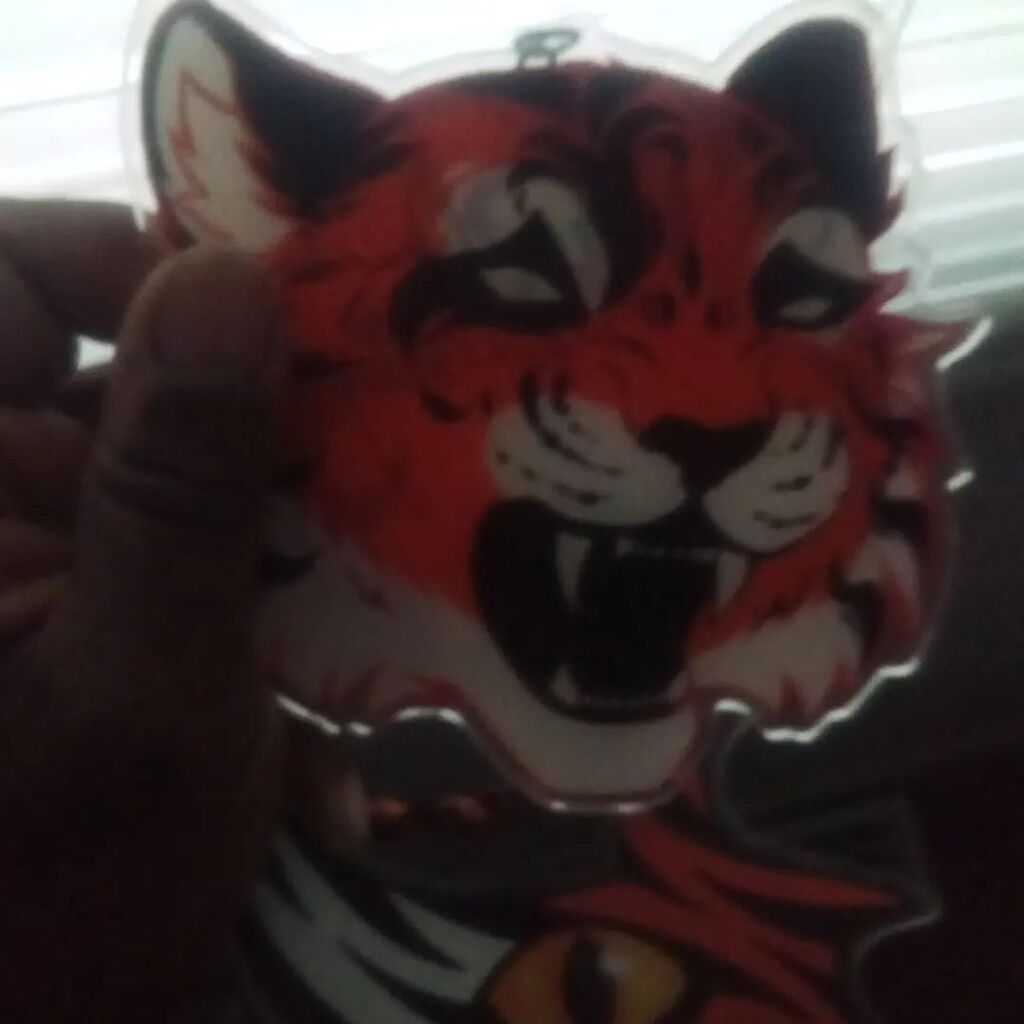 Tiger pendant instagr.am/p/Cr8Ztvyu005/