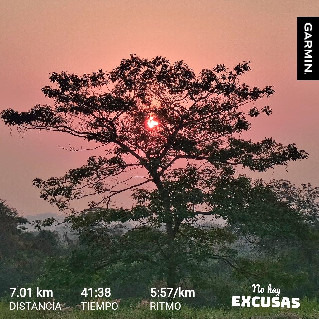 JosuManuelAven1's tweet photo. Tú eres la motivación!
Aquí ya se corrió
#inspirandometas #siesegordopudo @ManicomioRunner @ComuniRunners @FenixRun_Mexico @fenix18000 @yoelegicorrer1 #LigadelaJusticiaRunner https://t.co/Qtb9IZGNct