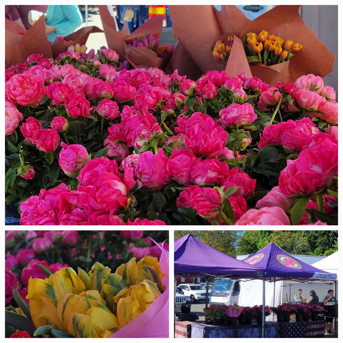 Selling our farm fresh #flowers @ramseyfarmersmarket i need to get some of my #NFTs printed out from my favorite projects to spread the awesomeness <a href="/TribeQuokka/">Tribe Quokka</a> <a href="/DegenToonz/">Degen Toonz</a>