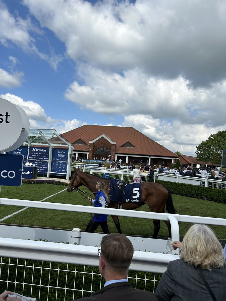 Life in motion looking beautiful in the parade ring #GuineasFestival
