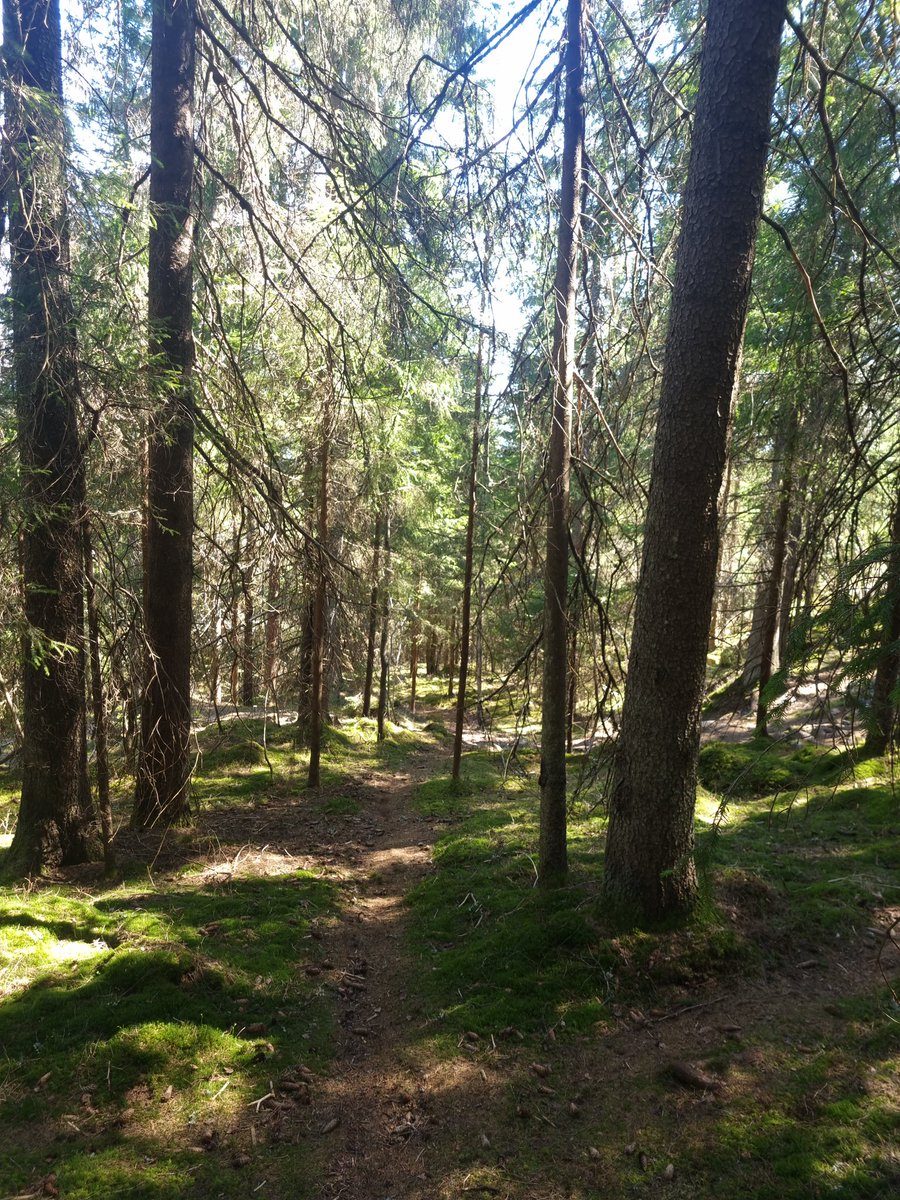 Tuvizz90's tweet photo. Ganske så fint å ha dette rett bak blokka https://t.co/ECvurVYTDK