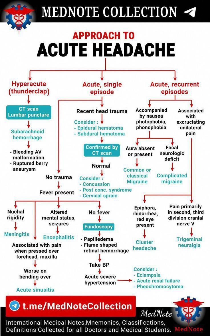 medflutter_'s tweet photo. Approach to Headache.

#MedEd #FOAMed https://t.co/NBlrS9R3Jq