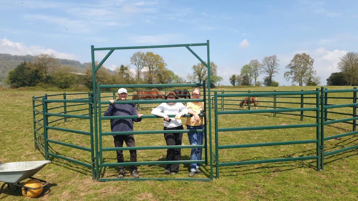 Equine Therapy Center tweet media