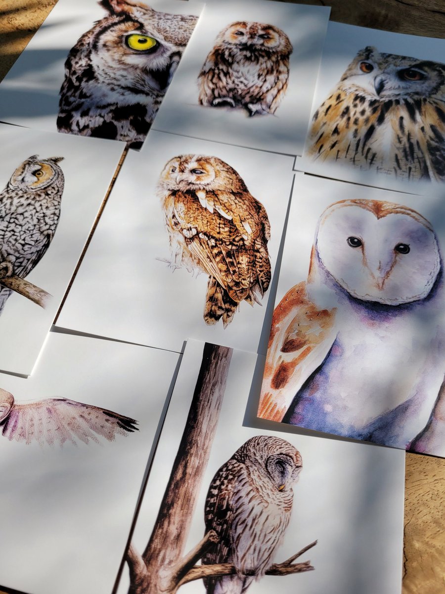 JojanTekent's tweet photo. Hé hallo! 

Ik heb zin om wat weg te geven, want daar word ik vrolijk van 🦉

Het gaat om een set van 8 uilenkaarten en een van 8 vogelkaarten.

Wat moet je doen? Mij volgen, de post liken en hieronder een reactie achterlaten. Iemand anders nomineren kan natuurlijk ook!

RT=😍 https://t.co/sQwQJUJgnX