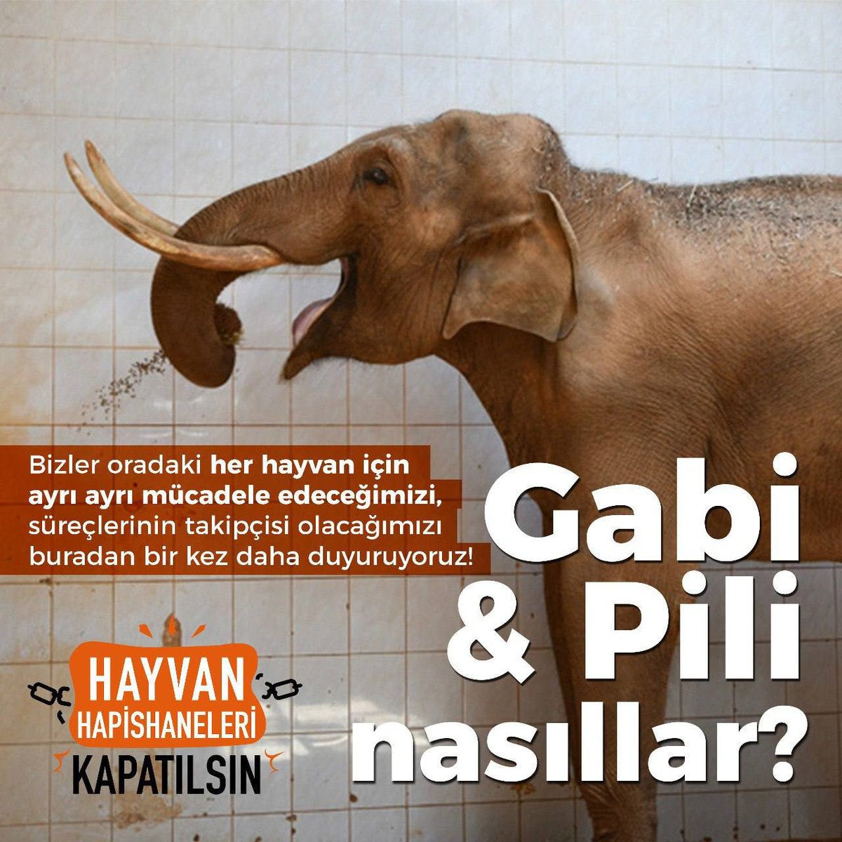 Bütün hak savunucularını Gaziantep 'hayvanat bahçesi' önünde saat 14:00'te hayvanlarla dayanışmaya ve ses çıkartmaya çağırıyoruz.

#hayvanhapishanelerikapatılsın 
@YeryuzuEkolojii @AntepQueer @istanbulpride @bur_hak @hakim_komite