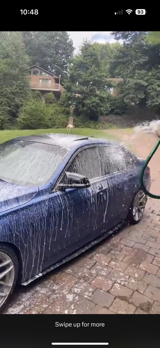 Sid Ives tweet media